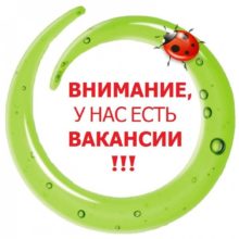 post-image-907